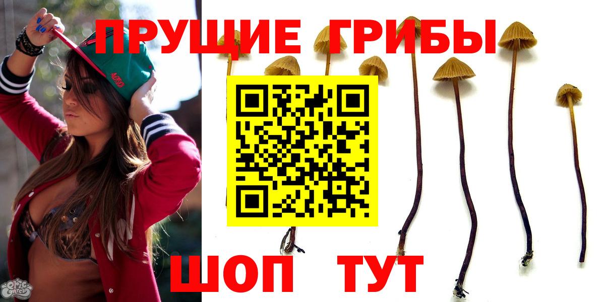 Галлюциногенные грибы GOLDEN TEACHER Кушва