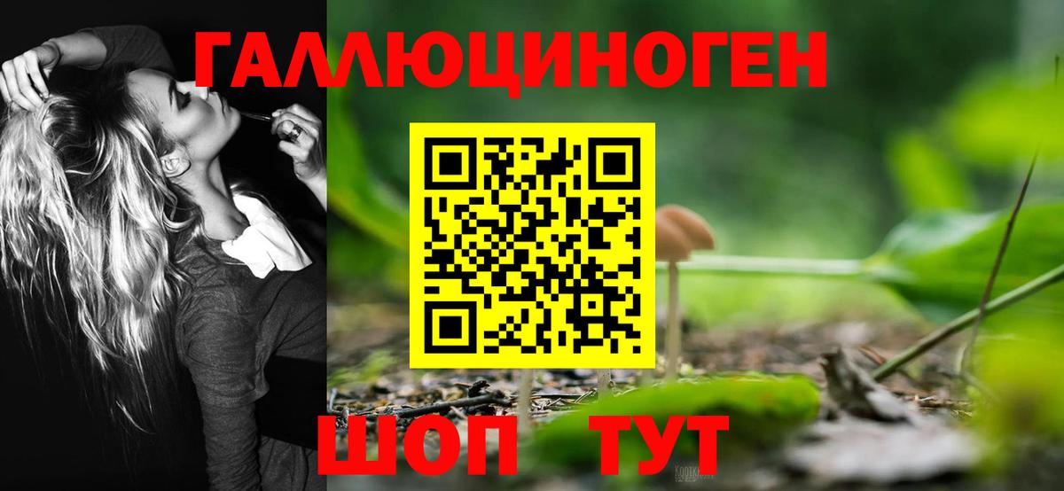Кушва  Псилоцибиновые грибы MAGIC MUSHROOMS  Вход с VPN 